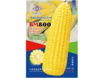 BM800水果玉米